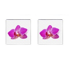 Lilac Phalaenopsis Flower, Floral Oil Painting Art Cufflinks (square) by picsaspassion