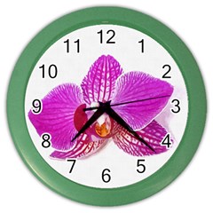 Lilac Phalaenopsis Flower, Floral Oil Painting Art Color Wall Clocks by picsaspassion