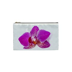 Lilac Phalaenopsis Flower, Floral Oil Painting Art Cosmetic Bag (small)  by picsaspassion