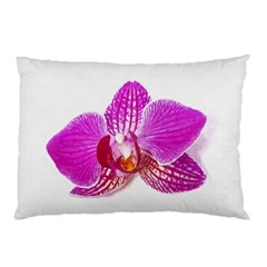 Lilac Phalaenopsis Flower, Floral Oil Painting Art Pillow Case (two Sides) by picsaspassion