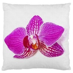 Lilac Phalaenopsis Flower, Floral Oil Painting Art Large Cushion Case (one Side) by picsaspassion