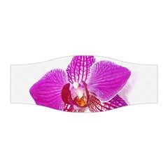 Lilac Phalaenopsis Flower, Floral Oil Painting Art Stretchable Headband by picsaspassion