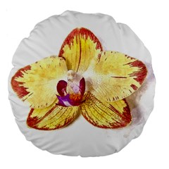 Yellow Phalaenopsis Flower, Floral Aquarel Watercolor Painting Art Large 18  Premium Flano Round Cushions