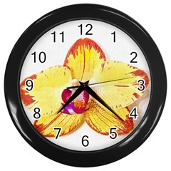 Phalaenopsis Yellow Flower, Floral Oil Painting Art Wall Clocks (black) by picsaspassion