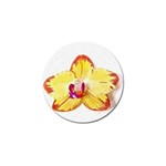Phalaenopsis Yellow flower, floral oil painting art Golf Ball Marker (10 pack) Front