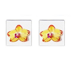 Phalaenopsis Yellow Flower, Floral Oil Painting Art Cufflinks (square) by picsaspassion