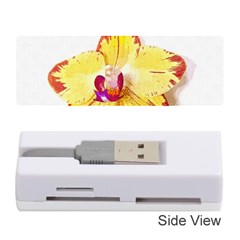 Phalaenopsis Yellow Flower, Floral Oil Painting Art Memory Card Reader (stick)  by picsaspassion