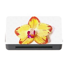 Phalaenopsis Yellow Flower, Floral Oil Painting Art Memory Card Reader With Cf by picsaspassion