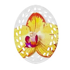 Phalaenopsis Yellow Flower, Floral Oil Painting Art Ornament (oval Filigree) by picsaspassion