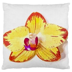 Phalaenopsis Yellow Flower, Floral Oil Painting Art Large Cushion Case (two Sides) by picsaspassion