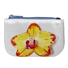 Phalaenopsis Yellow Flower, Floral Oil Painting Art Large Coin Purse by picsaspassion