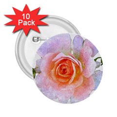 Pink Rose Flower, Floral Oil Painting Art 2 25  Buttons (10 Pack)  by picsaspassion