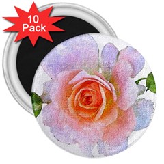 Pink Rose Flower, Floral Oil Painting Art 3  Magnets (10 Pack)  by picsaspassion