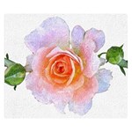 Pink Rose flower, floral oil painting art Double Sided Flano Blanket (Small)  50 x40  Blanket Front