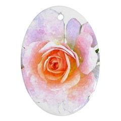 Pink Rose Flower, Floral Watercolor Aquarel Painting Art Ornament (oval)