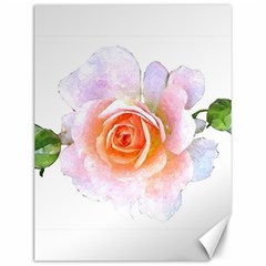 Pink Rose Flower, Floral Watercolor Aquarel Painting Art Canvas 12  X 16  