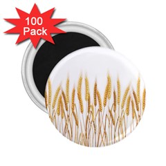 Wheat Plants 2 25  Magnets (100 Pack) 