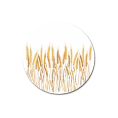 Wheat Plants Magnet 3  (round)