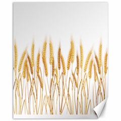 Wheat Plants Canvas 11  X 14  