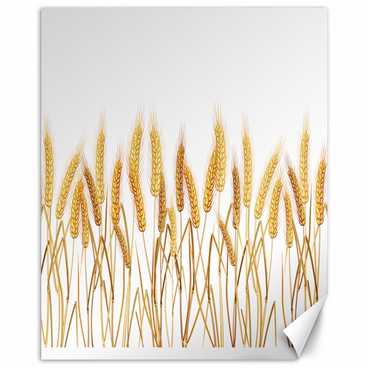 Wheat Plants Canvas 11  x 14  