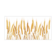 Wheat Plants Yoga Headband