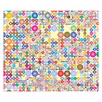 Circle Rainbow Polka Dots Double Sided Flano Blanket (Small)  50 x40  Blanket Front