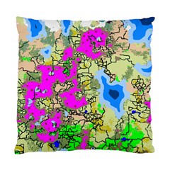 Painting Map Pink Green Blue Street Standard Cushion Case (two Sides)
