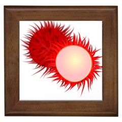 Rambutan Fruit Red Sweet Framed Tiles by Mariart