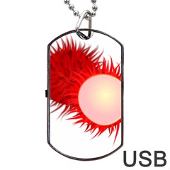 Rambutan Fruit Red Sweet Dog Tag Usb Flash (one Side) by Mariart