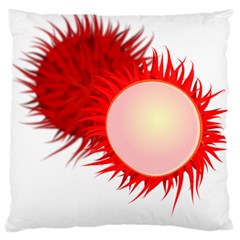 Rambutan Fruit Red Sweet Large Cushion Case (one Side) by Mariart