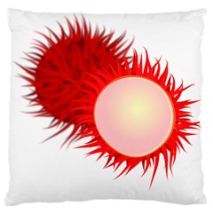 Rambutan Fruit Red Sweet Standard Flano Cushion Case (one Side) by Mariart