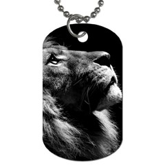 Male Lion Face Dog Tag (one Side) by Celenk