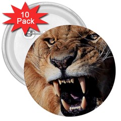 Male Lion Angry 3  Buttons (10 Pack) 