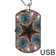 Kaleidoscopic Design Elegant Star Brown Turquoise Dog Tag Usb Flash (one Side)