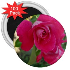 Romantic Red Rose Photography 3  Magnets (100 Pack) by yoursparklingshop