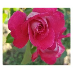 Romantic Red Rose Photography Double Sided Flano Blanket (small)  by yoursparklingshop