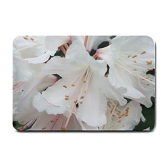 Floral Design White Flowers Photography Small Doormat  by yoursparklingshop