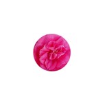 Pink Flower Japanese Tea Rose Floral Design 1  Mini Buttons Front