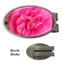 Pink Flower Japanese Tea Rose Floral Design Money Clips (oval) 