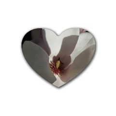 Magnolia Floral Flower Pink White Heart Coaster (4 Pack)  by yoursparklingshop