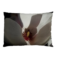 Magnolia Floral Flower Pink White Pillow Case (two Sides)