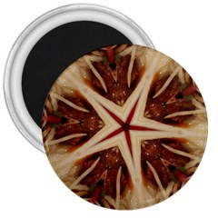 Spaghetti Italian Pasta Kaleidoscope Funny Food Star Design 3  Magnets by yoursparklingshop