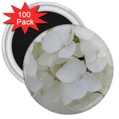Hydrangea Flowers Blossom White Floral Elegant Bridal Chic 3  Magnets (100 Pack) by yoursparklingshop