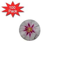 Floral Soft Pink Flower Photography Peony Rose 1  Mini Buttons (100 Pack)  by yoursparklingshop