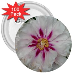 Floral Soft Pink Flower Photography Peony Rose 3  Buttons (100 Pack) 