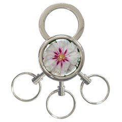Floral Soft Pink Flower Photography Peony Rose 3-ring Key Chains