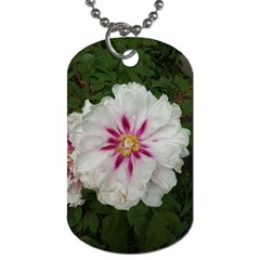 Floral Soft Pink Flower Photography Peony Rose Dog Tag (one Side)