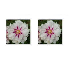 Floral Soft Pink Flower Photography Peony Rose Cufflinks (square)