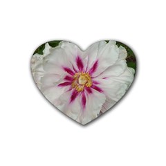 Floral Soft Pink Flower Photography Peony Rose Heart Coaster (4 Pack)  by yoursparklingshop