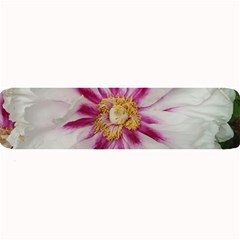 Floral Soft Pink Flower Photography Peony Rose Large Bar Mats